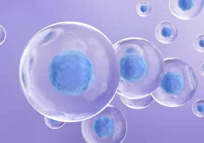 Discover How Levitation Technology Enables Better Cell Samples and New Discoveries